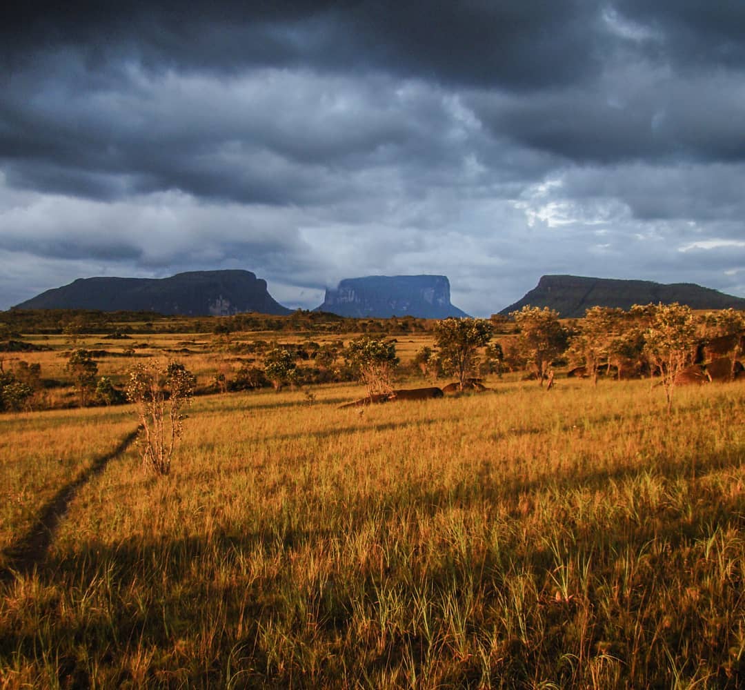 Sabana dorada y tepuyes bajo un cielo de nubes oscuras en Canaima.