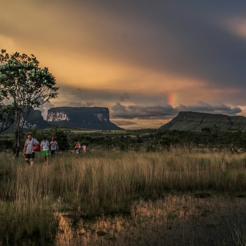 Trekking sabanero